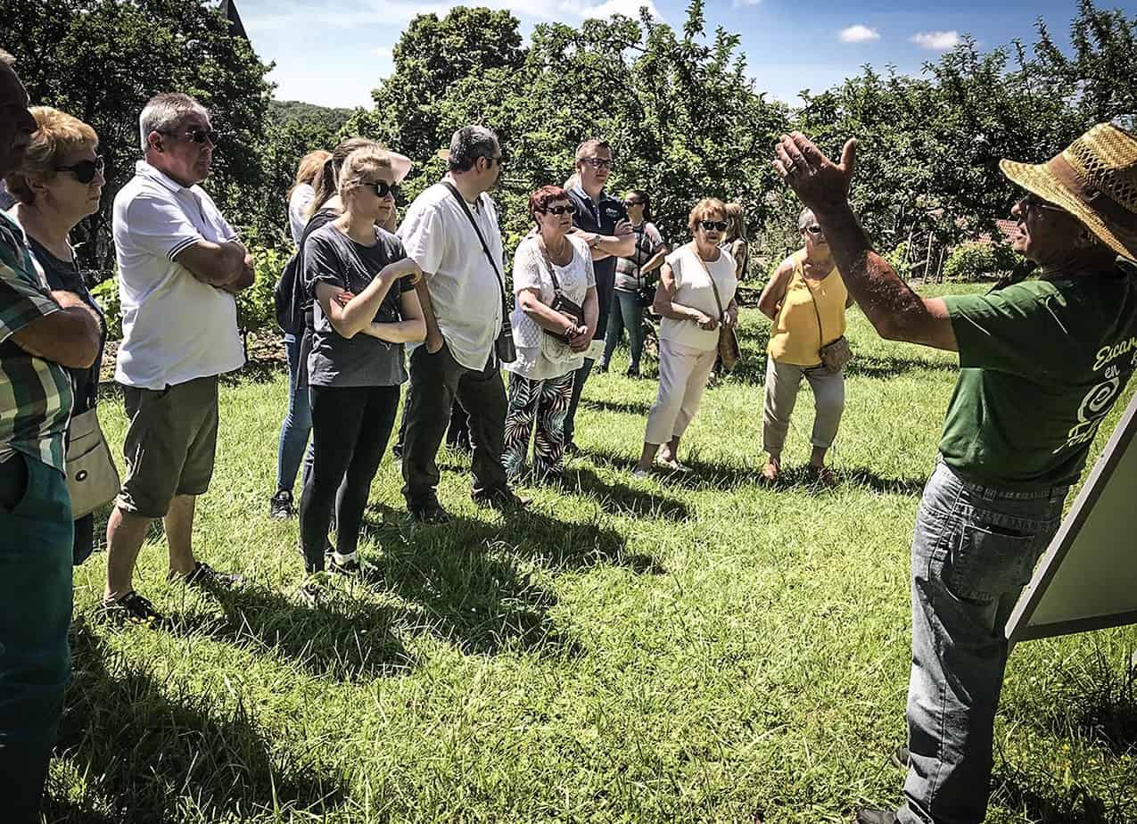 Association Escargots en Folie